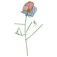 decoration