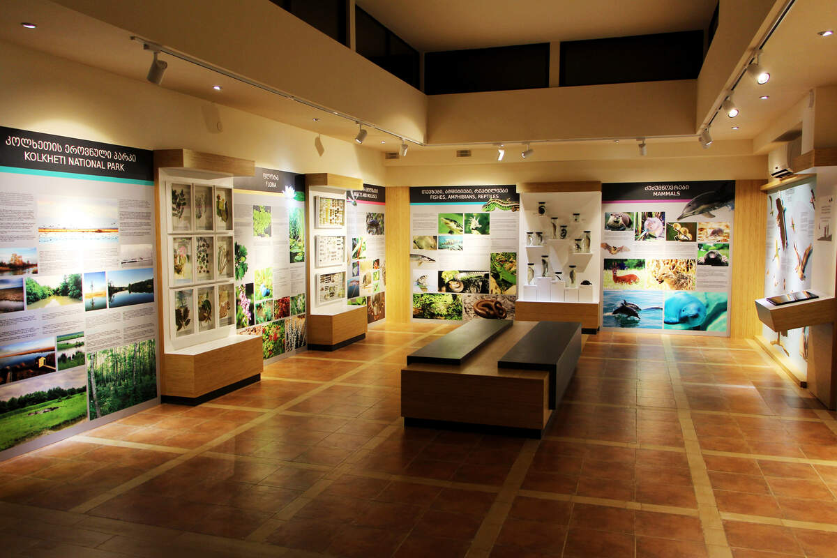 Exhibition Hall of Kolkheti National Park Visitor Center