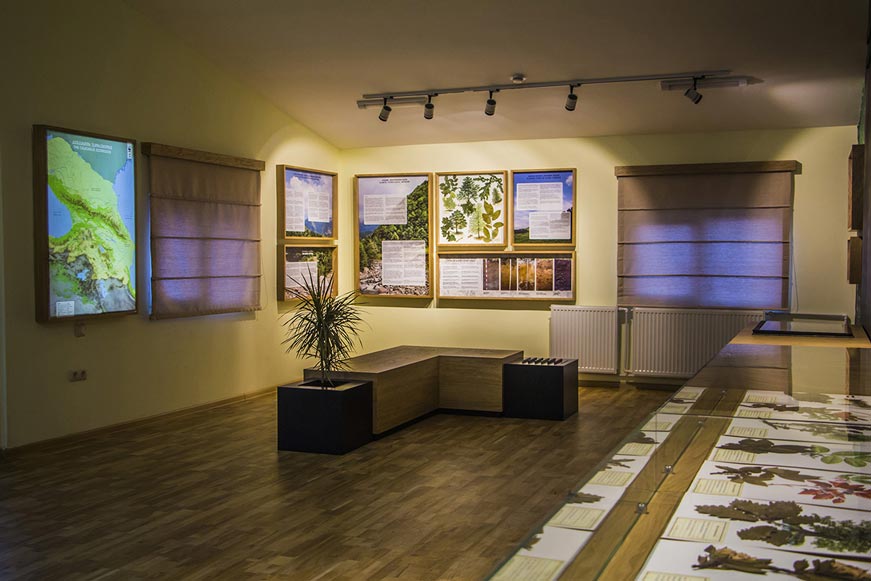 Educational Exposition in the Forestry Agency of Adjara