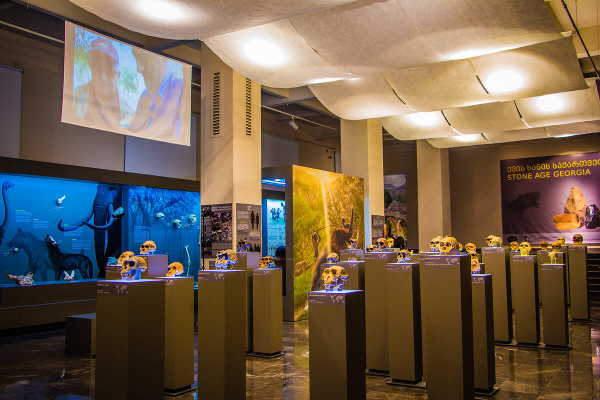 Stone Age Georgia