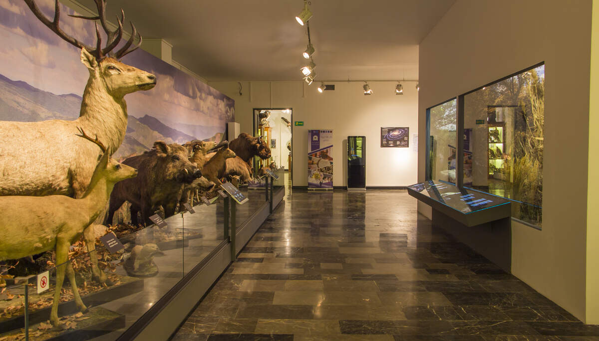 Georgian Biodiversity