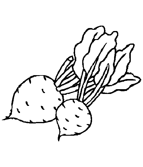 ბოლოკი