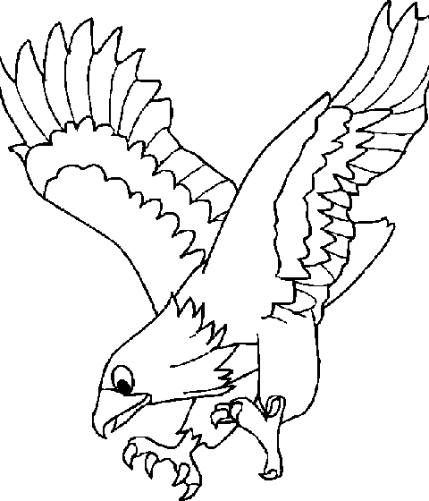 არწივი