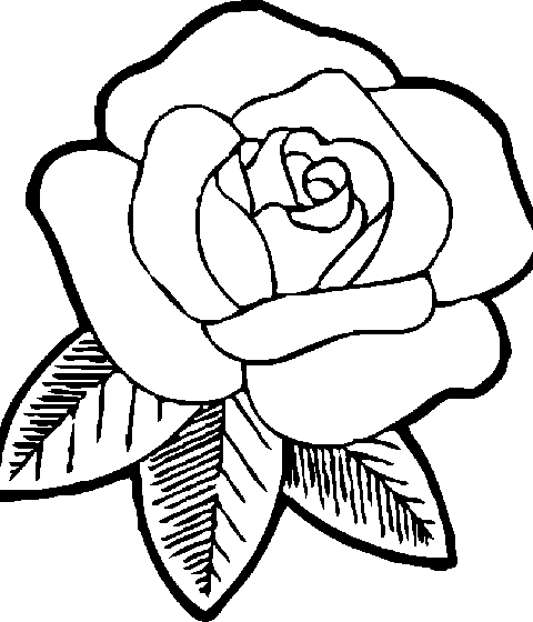ვარდი